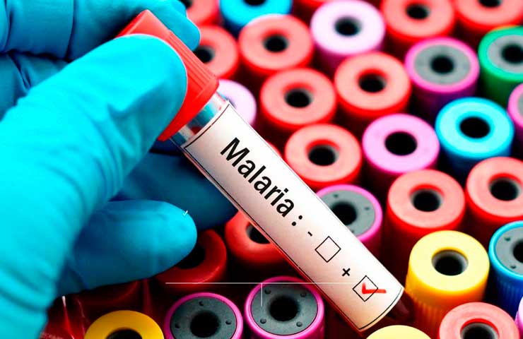 Malaria