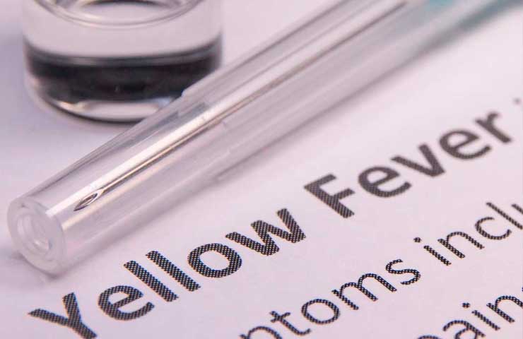 Yellow Fever