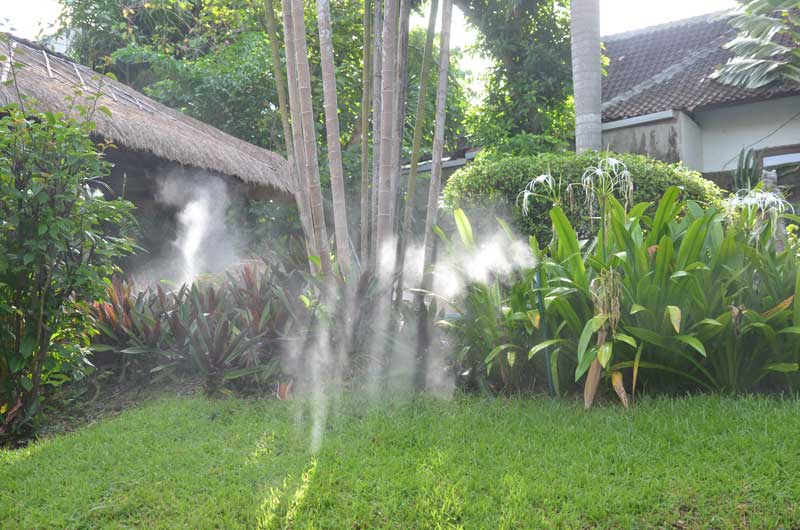 Misting mosquito control system