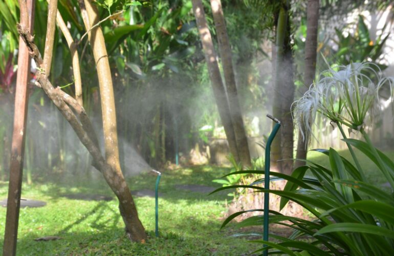 Misting System vs Fogging