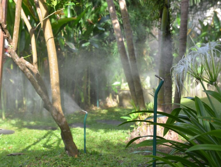 Misting System vs Fogging