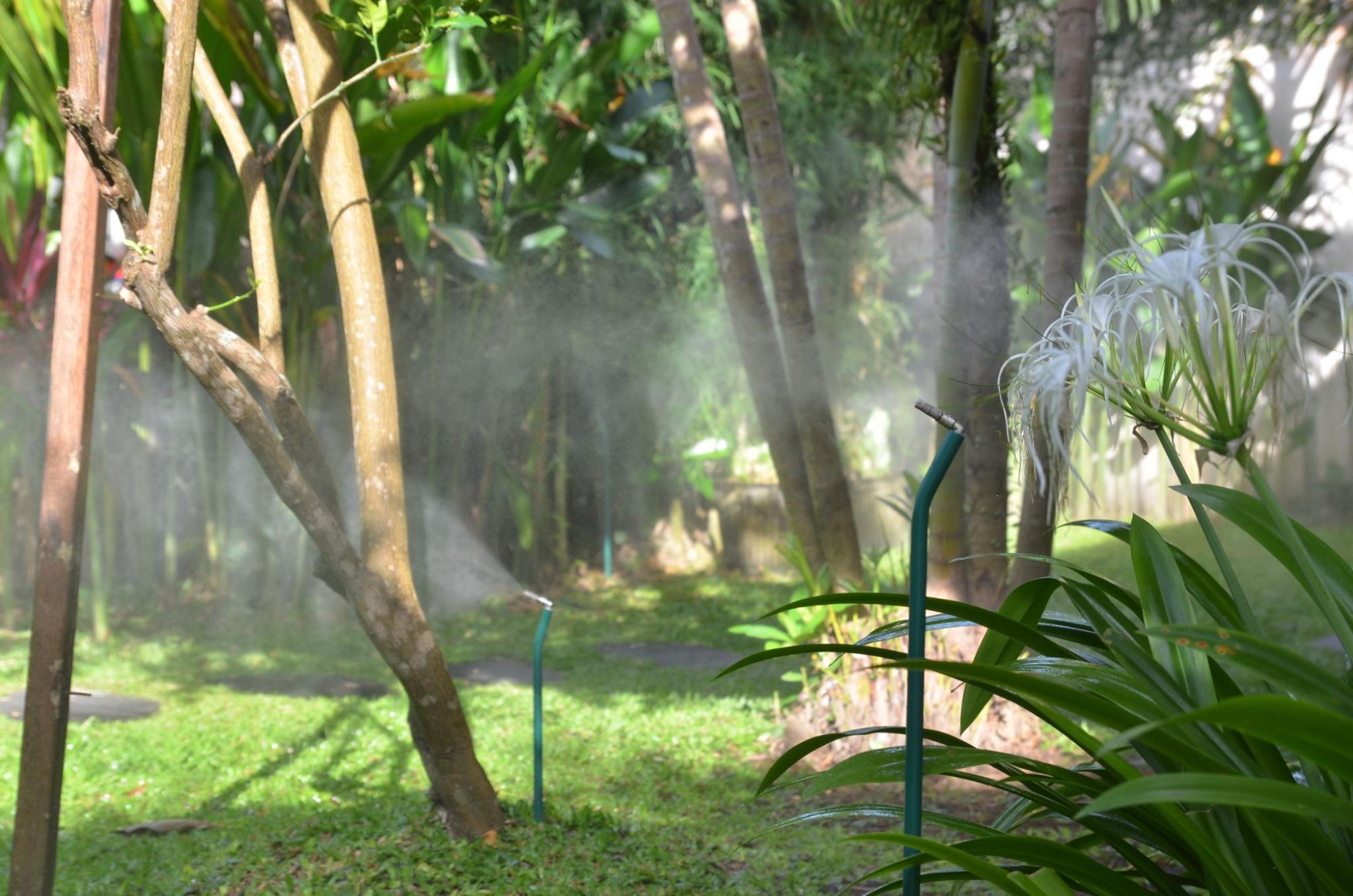 Misting System vs Fogging